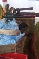 Cutting formation-starting on East end 02