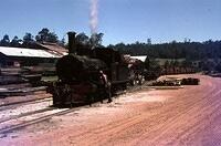 WAGR 3'6" gauge G class 4-6-0 at Pemberton WA 1970